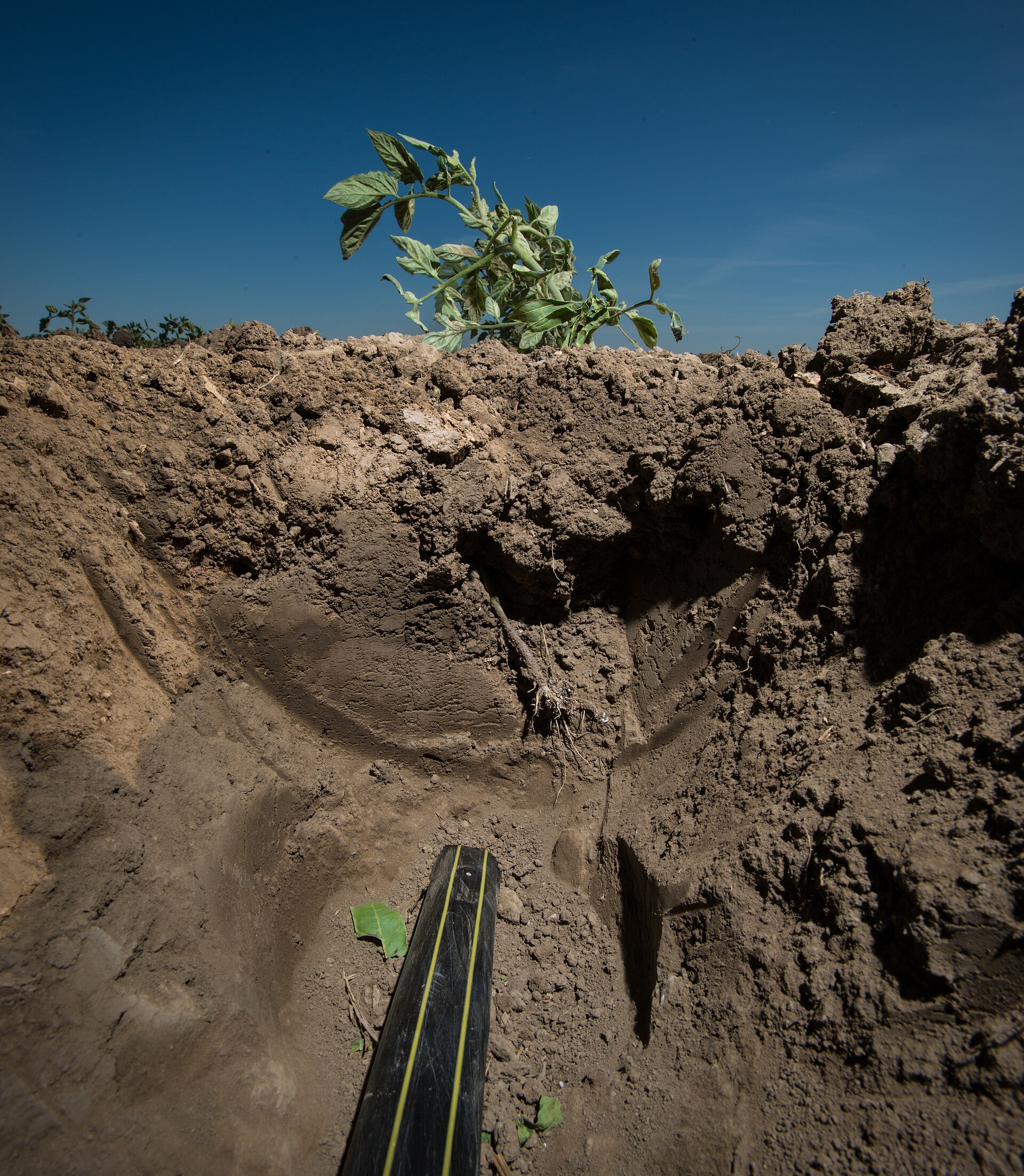 Drip and Sprinkler Irrigation Subsidy Guide